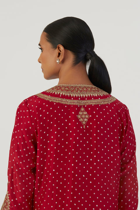 Purva Kurta and Pant-Red