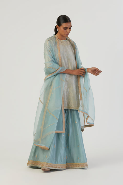 Bani Kurta & Sharara