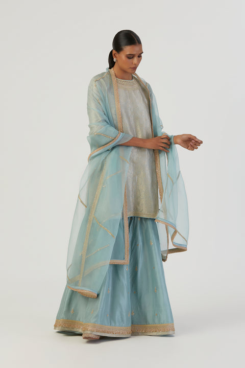 Bani Kurta and Sharara-Sky Blue