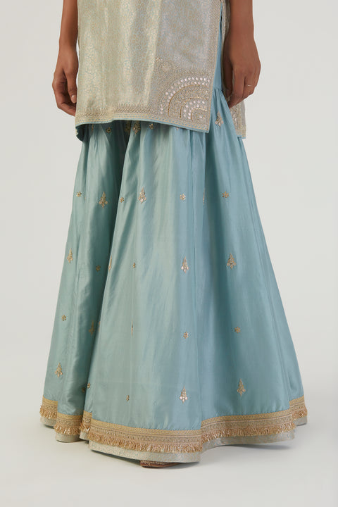 Bani Kurta and Sharara-Sky Blue