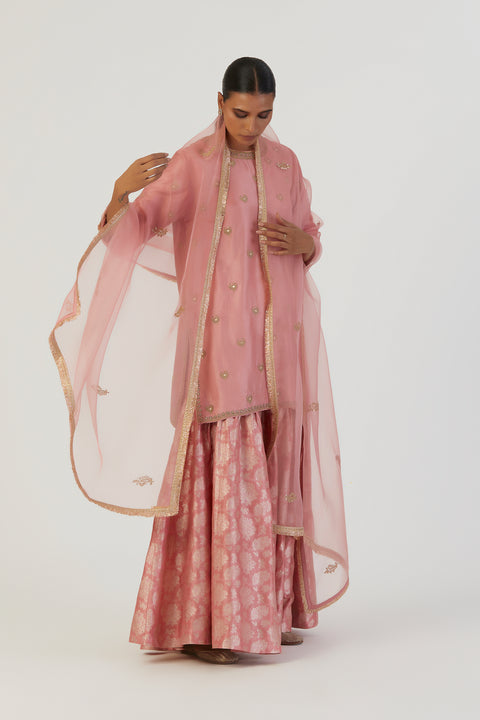 Salma Kurta and Sharara-Pink