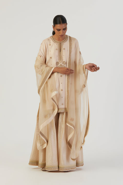 Tara Kurta and Sharara-Oats