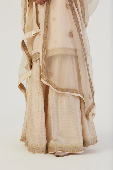 Tara Kurta and Sharara-Oats