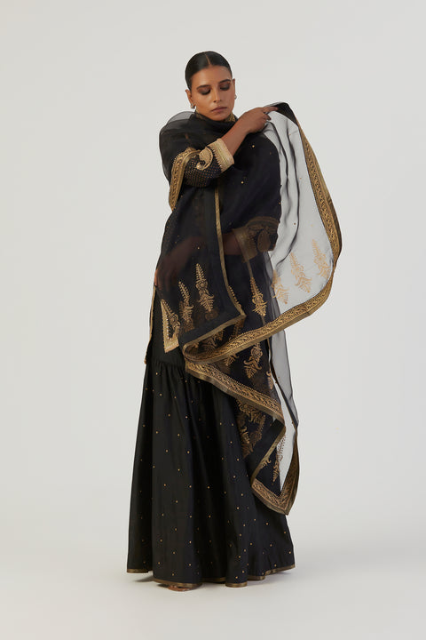 Hoor Dupatta-Black