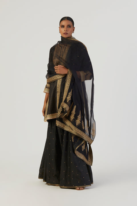 Hoor Dupatta-Black