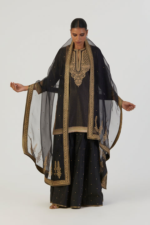 Aza Kurta and Sharara-Black