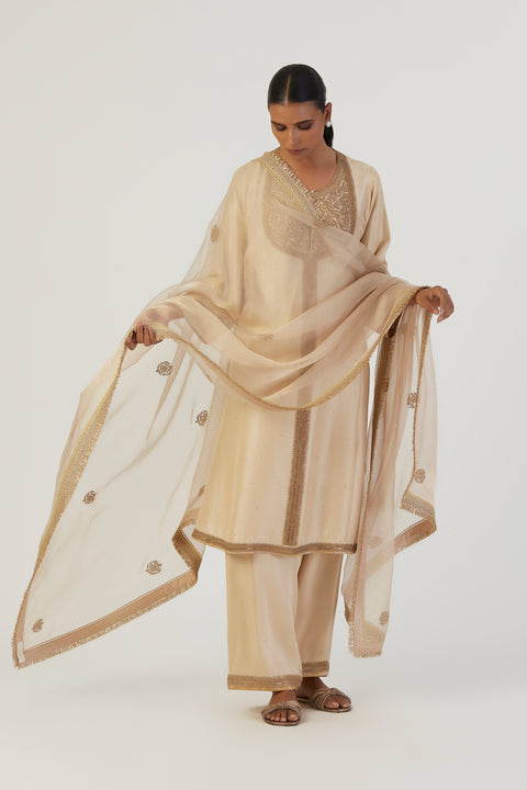 Raga Dupatta-Oats