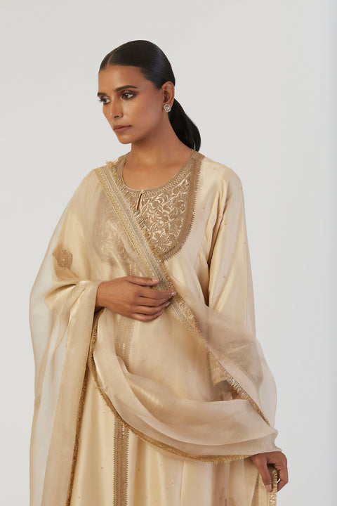 Raga Dupatta-Oats