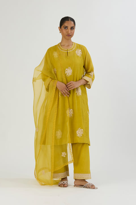 Tani Dupatta-Lime Green