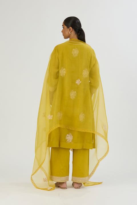 Tani Dupatta-Lime Green