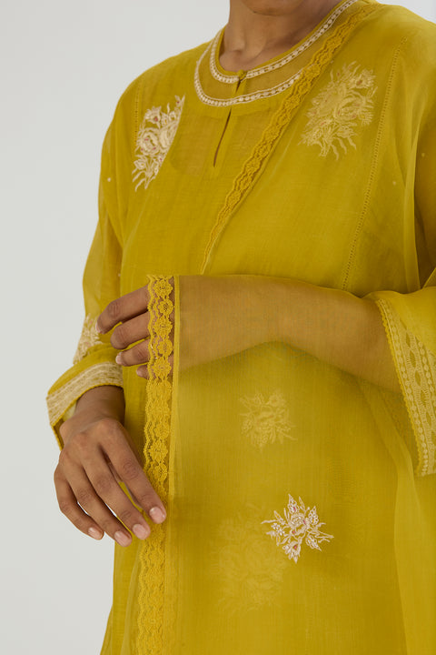 Tani Dupatta-Lime Green