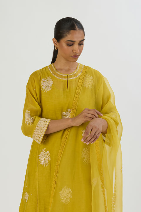 Tani Dupatta-Lime Green