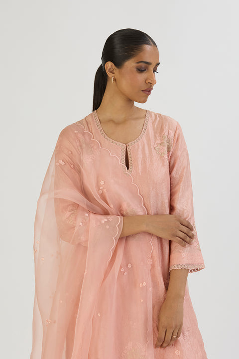 Janvi Kurta and Pant-Pink
