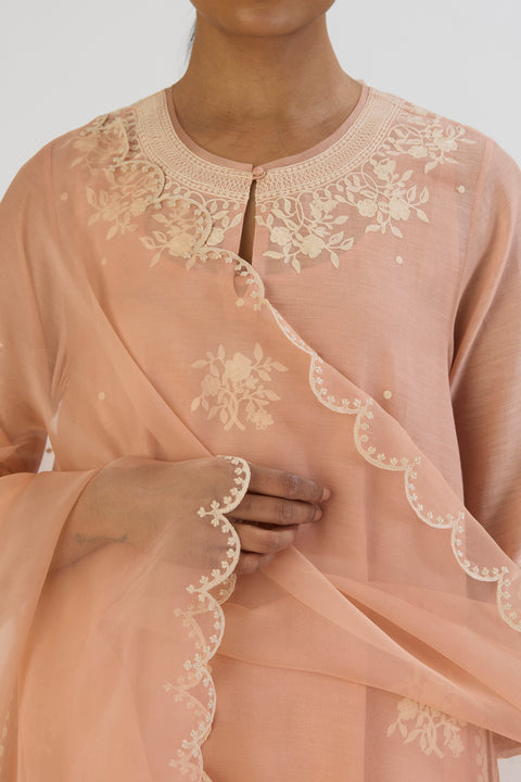 Sarah Dupatta-Light pink