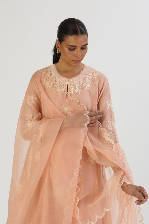 Yami Kurta and Pant-Light pink