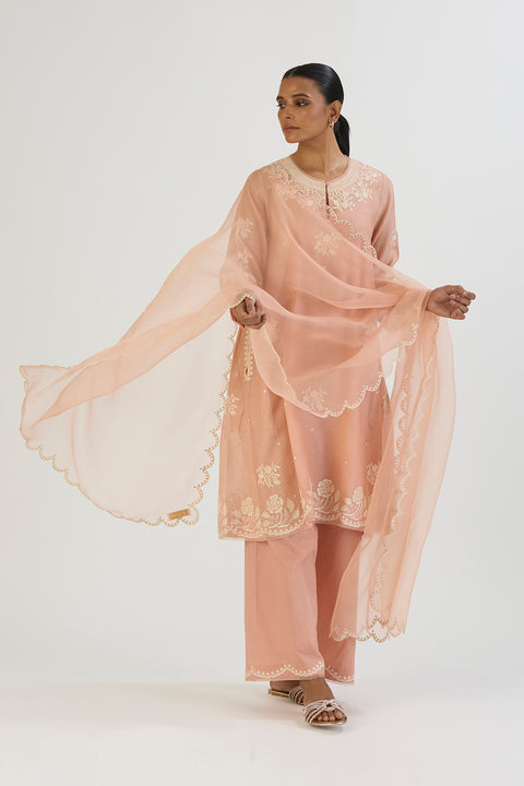 Yami Kurta and Pant-Light pink