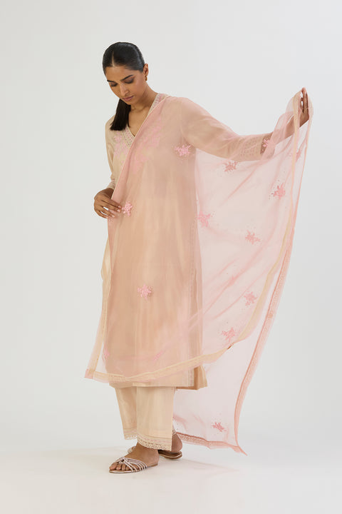 Ritika Dupatta-Pink