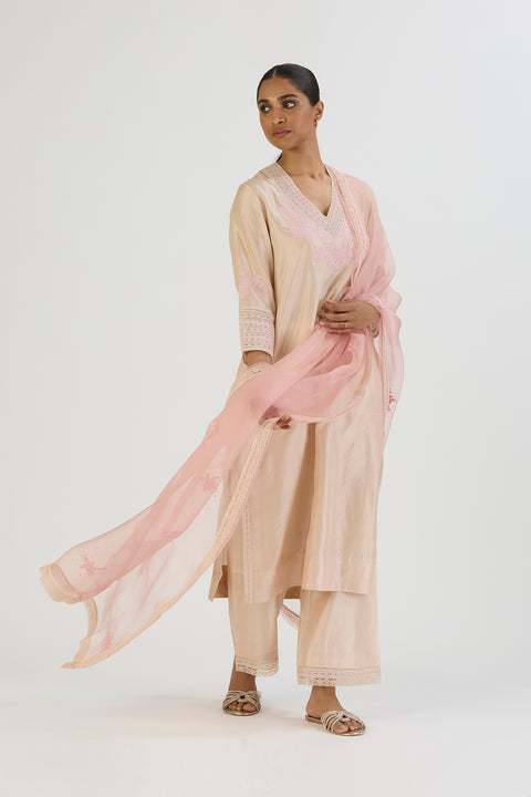 Pallavi Kurta and Pant-Light Pink