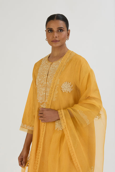 Vaidehi Kurta and Pant-Yellow