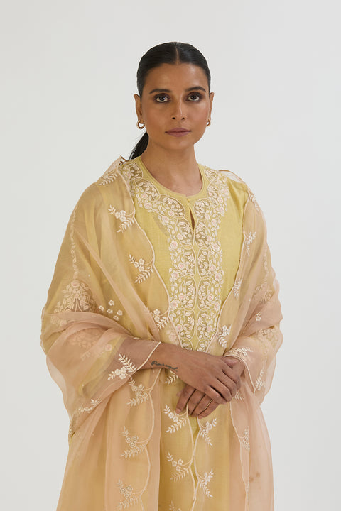 Kirat Kurta and Pant-Lime Yellow