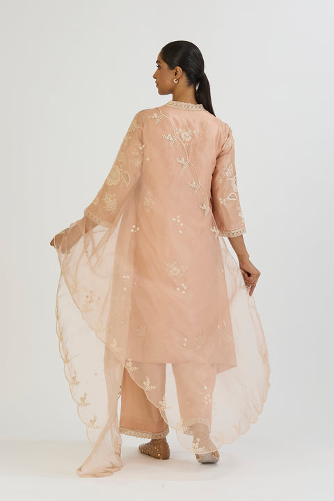 Saral Dupatta-Light Pink
