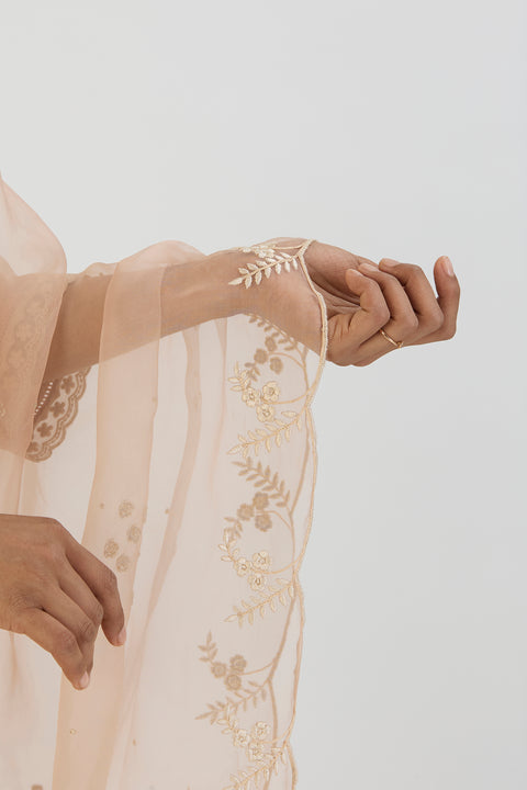 Saral Dupatta-Light Pink
