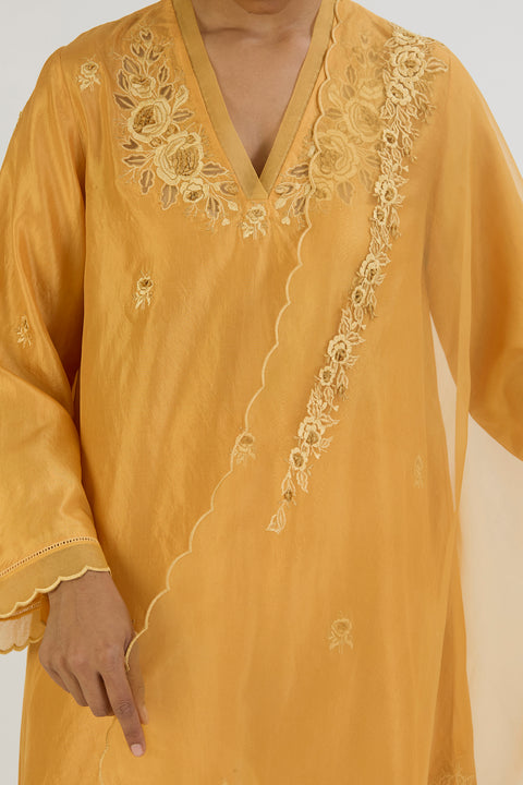 Ferah Kurta and Pant-Yellow