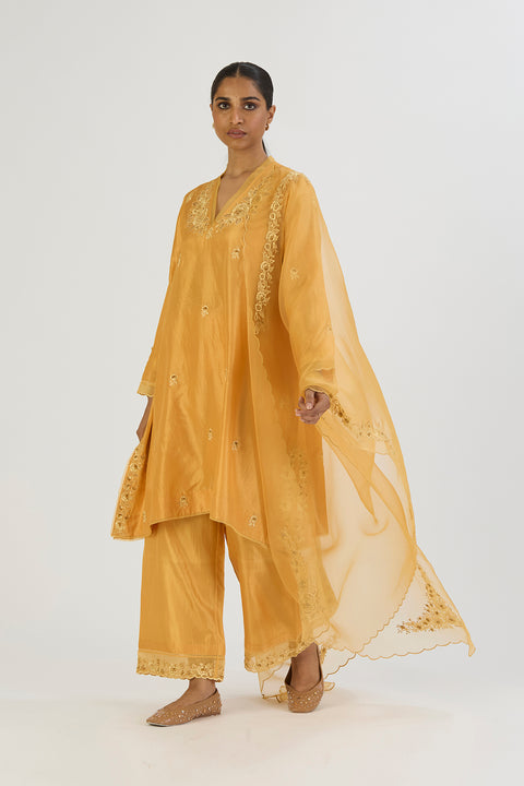 Ferah Kurta and Pant-Yellow