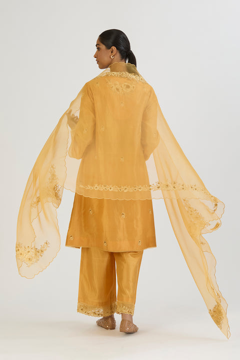 Raavi Dupatta-Yellow