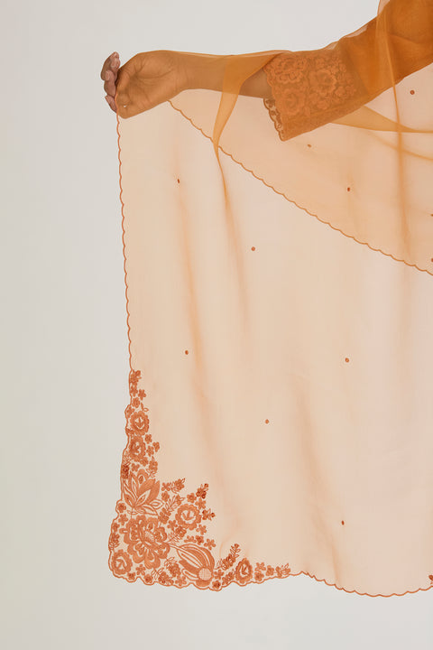Arshi Dupatta-Burnt Orange