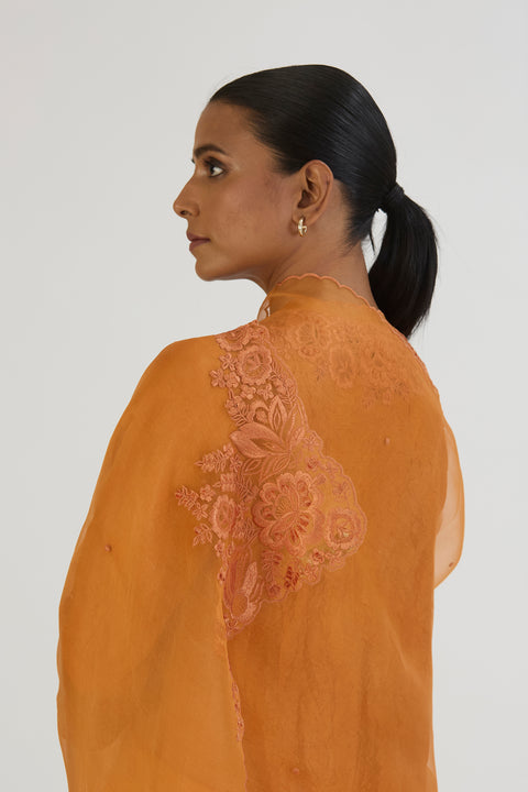 Arshi Dupatta-Burnt Orange