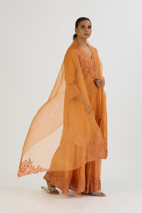 Arshi Dupatta-Burnt Orange