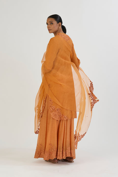 Arshi Dupatta-Burnt Orange