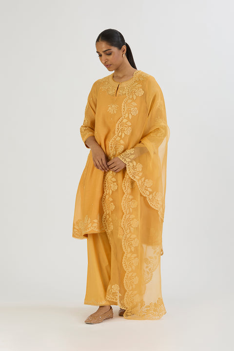 Yami Kurta and Pant-Yellow