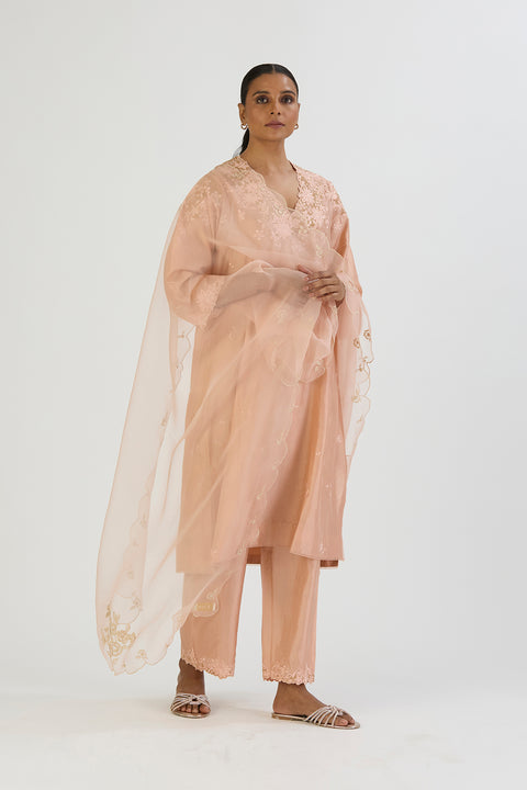 Diva Kurta and Pant-Light Pink