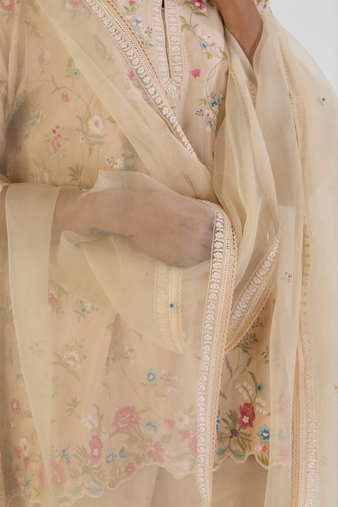 Yana Dupatta-Oats