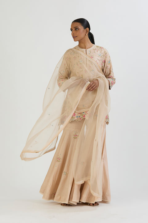 Saranya Kurta and Sharara-Oats
