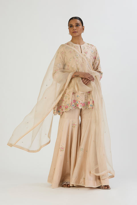 Yana Dupatta-Oats