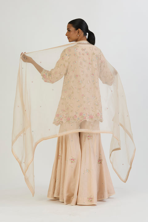 Yana Dupatta-Oats