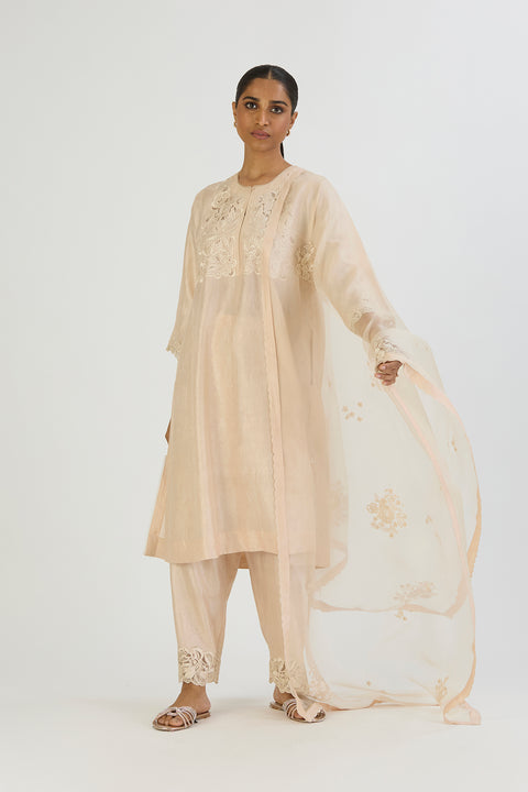 Rina Dupatta-Ivory