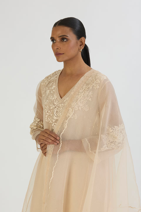 Manvi Dupatta-Oats