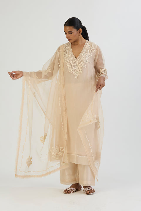 Manvi Dupatta-Oats