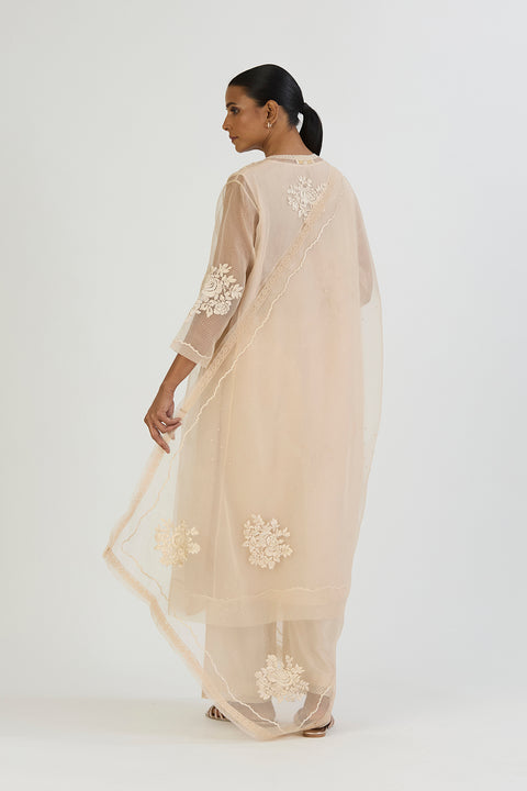 Manvi Dupatta-Oats
