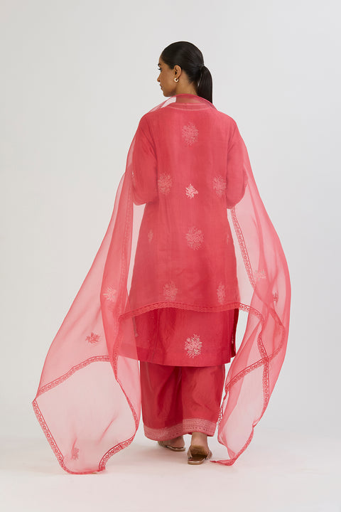 Tani Dupatta-Dark Pink