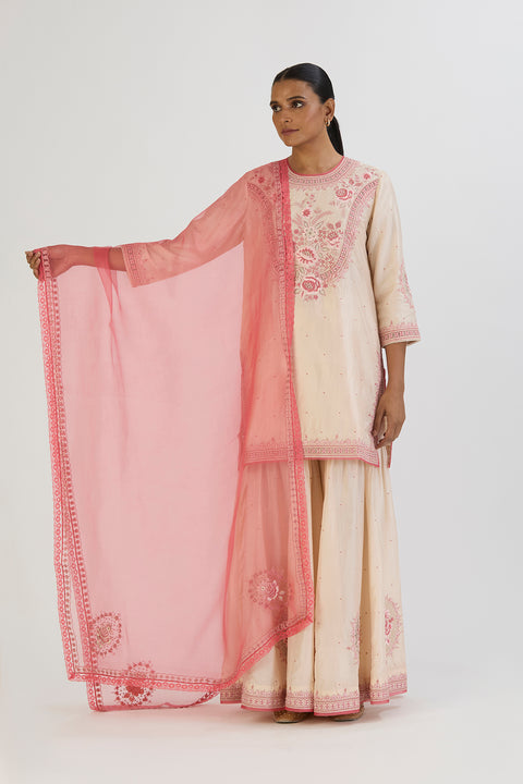 Gina Dupatta-Pink