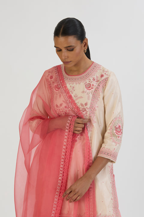 Gina Dupatta-Pink