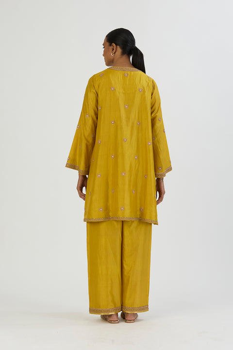 Taavi Kurta and Pant-Light Green