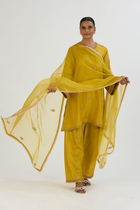 Taavi Kurta and Pant-Light Green