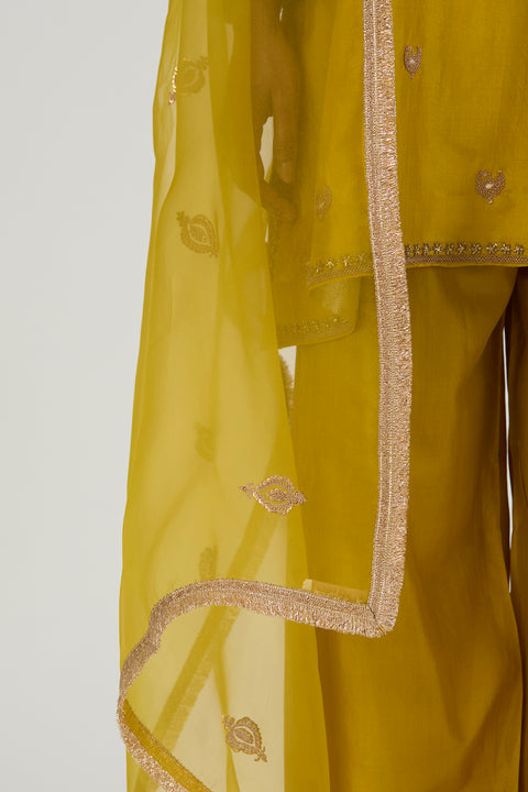 Raga Dupatta-Lime Green
