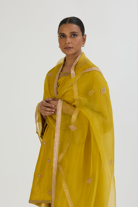 Raga Dupatta-Lime Green